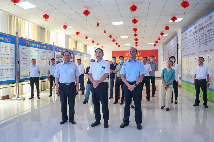 Теплое приветствие Бизнес-зал провинции Шаньдун Прибытие лидера Китайская угольная группа, посещение и расследование